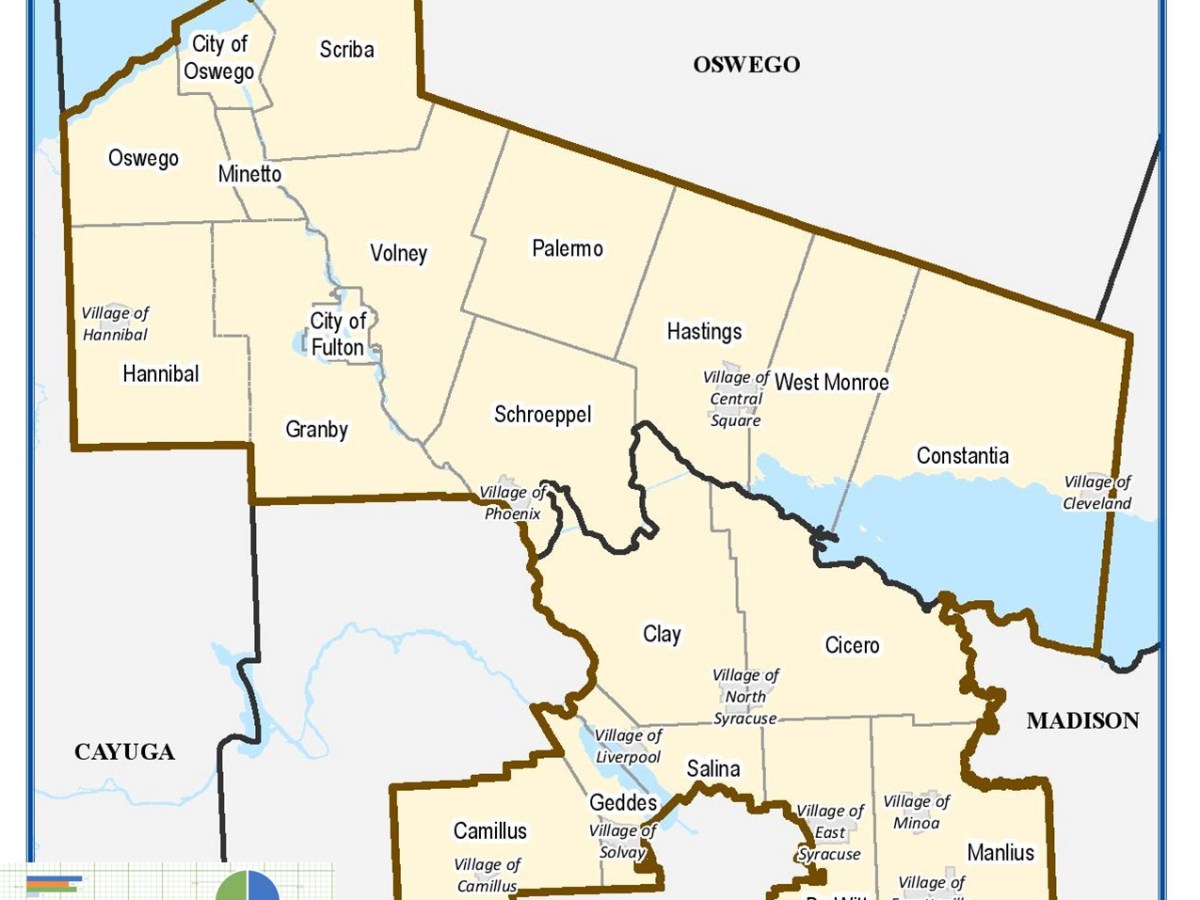The Weekly Wonk:  The 50th NYS Senate District&nbsp;2026