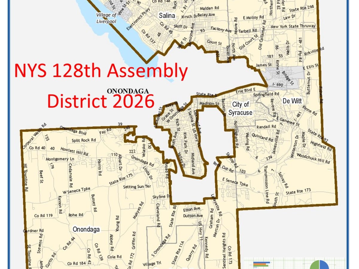 The Weekly Wonk:  NY Assembly District&nbsp;128